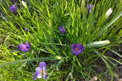 IMG_20240322_102020